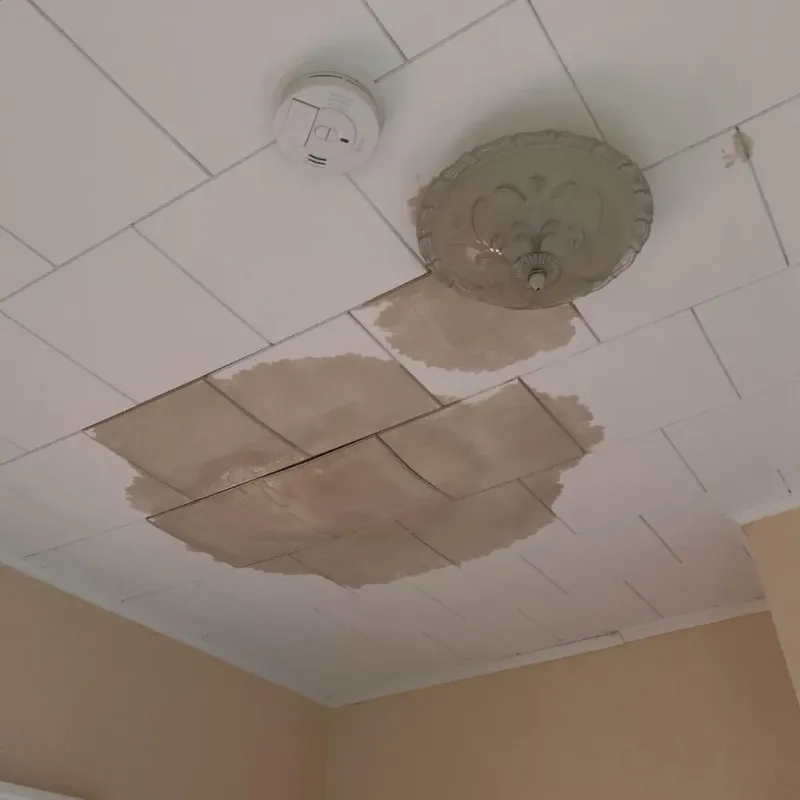 Ceiling Water Damage Repair in River Hills, WI
