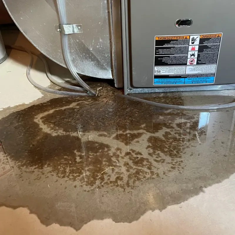Pipe Burst and Leak Restoration in River Hills, WI